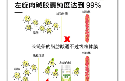 左旋肉碱减肥原理  