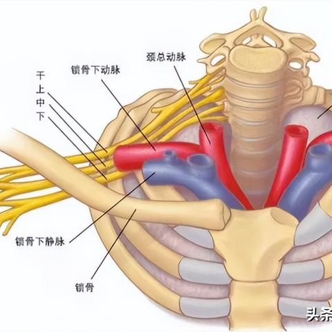 颈椎病压迫神经手臂疼痛吃什么药 